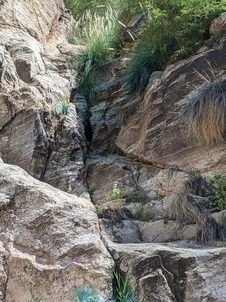 Trusted Environmental Experts Since 2006 — Rocky Mountain Ecology