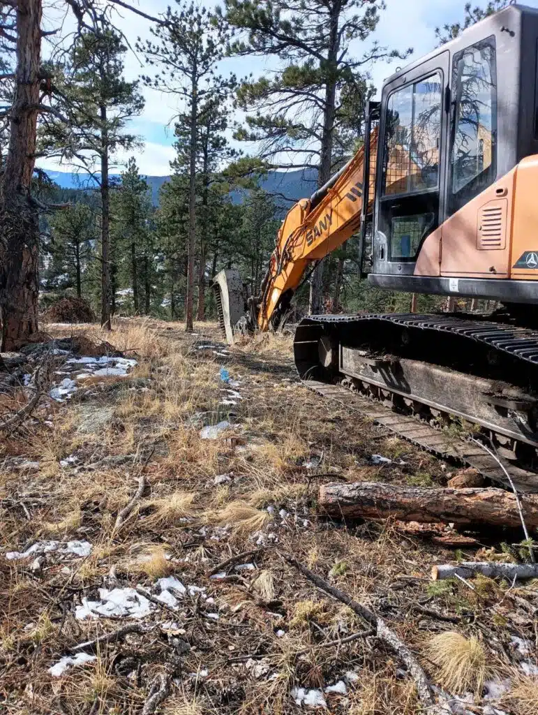Forest management and thinning operations