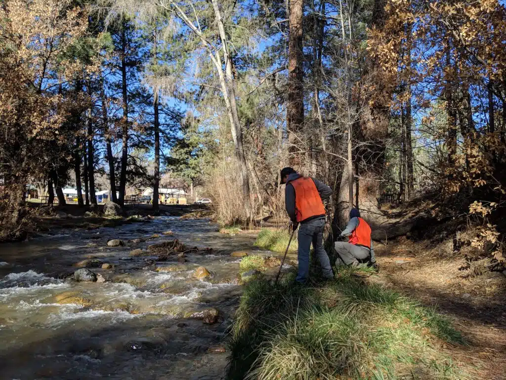 Post-fire park restoration and revegetation